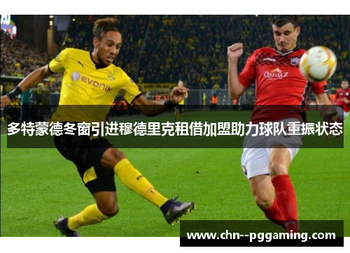 多特蒙德冬窗引进穆德里克租借加盟助力球队重振状态